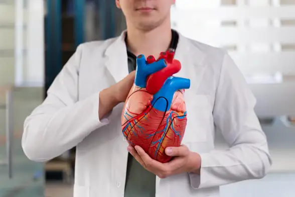 تضخم القلب | أسباب، أعراض، علاج