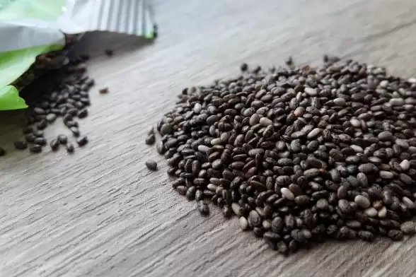 بذور الشيا كمال الأجسام