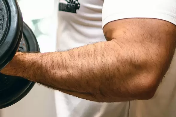 عضلات الساعد (الريست) الصغيرة والأيدي الصغيرة في كمال الأجسام