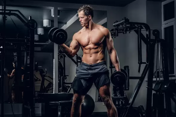 شرح نظام full body workout