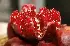 5 فوائد للرمان تجعله ا�